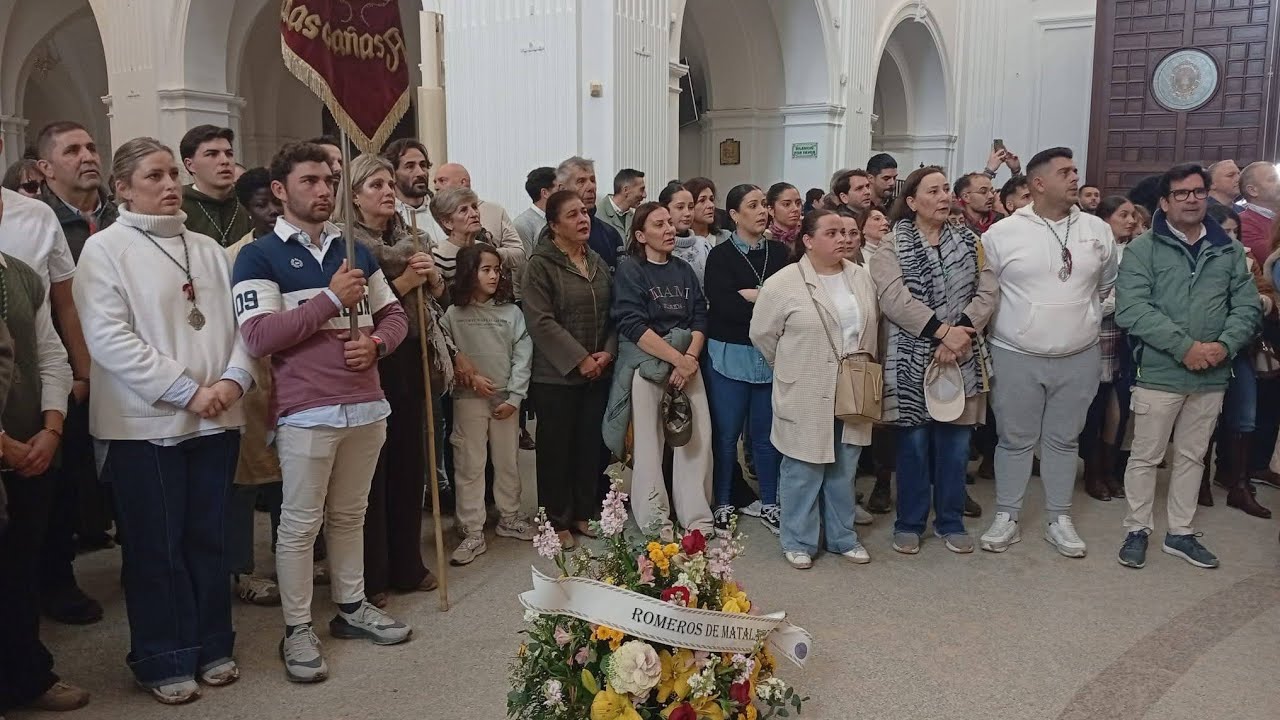 Actualidad | Peregrinación Romeros de Matalascañas al Rocío