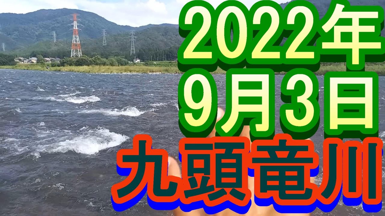 鮎釣り 40㎝高 北島鮎大橋下 九頭竜川  2022年