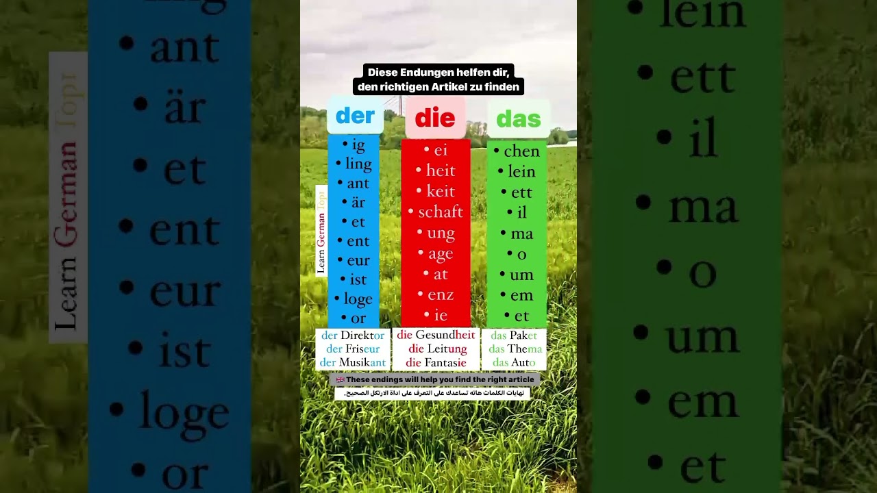 Artikel: Wann der, die, das? | #deutsch #المانيا #german #deutschkurs #almanya #shortvideo #deutsch