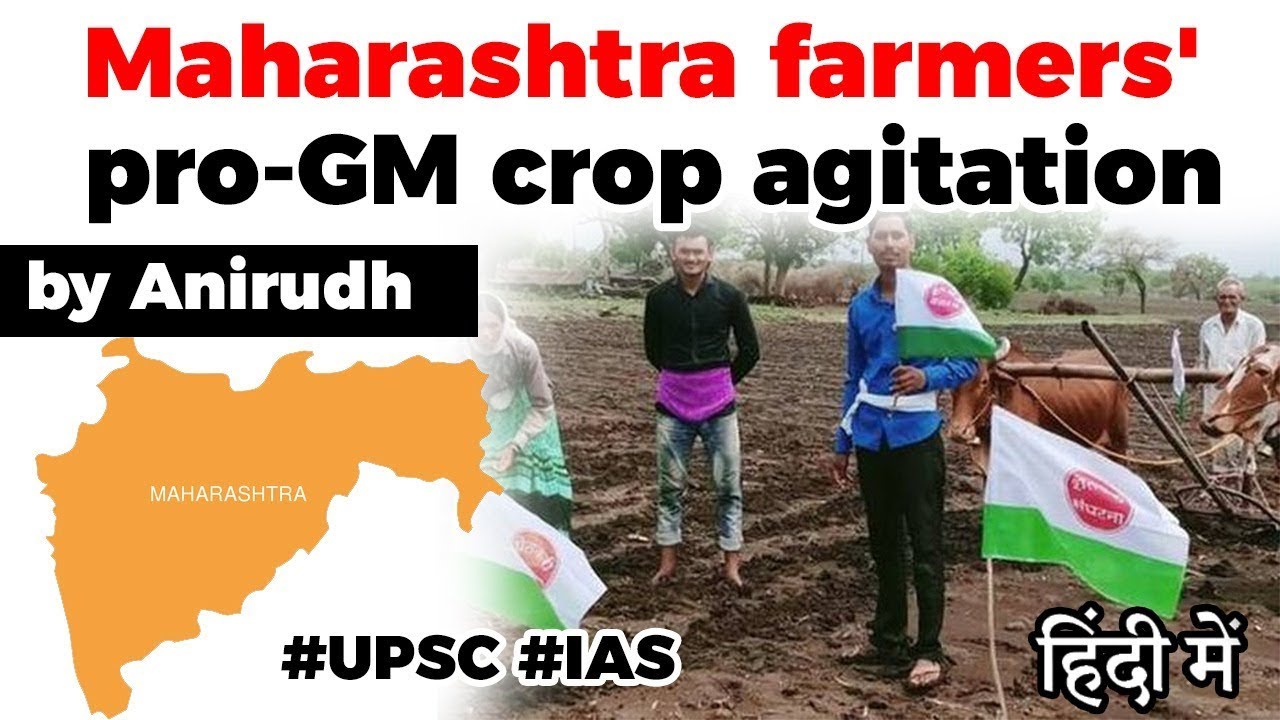 Maharashtra farmers' pro GM crop movement explained, Despite ban HTBT cotton sowed in Wardha