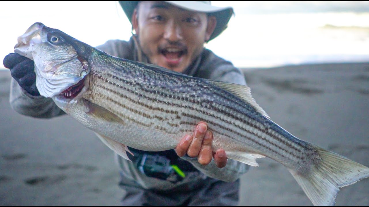 BEST STRIPED BASS CATCH AND COOK | Vietnamese Style Dish