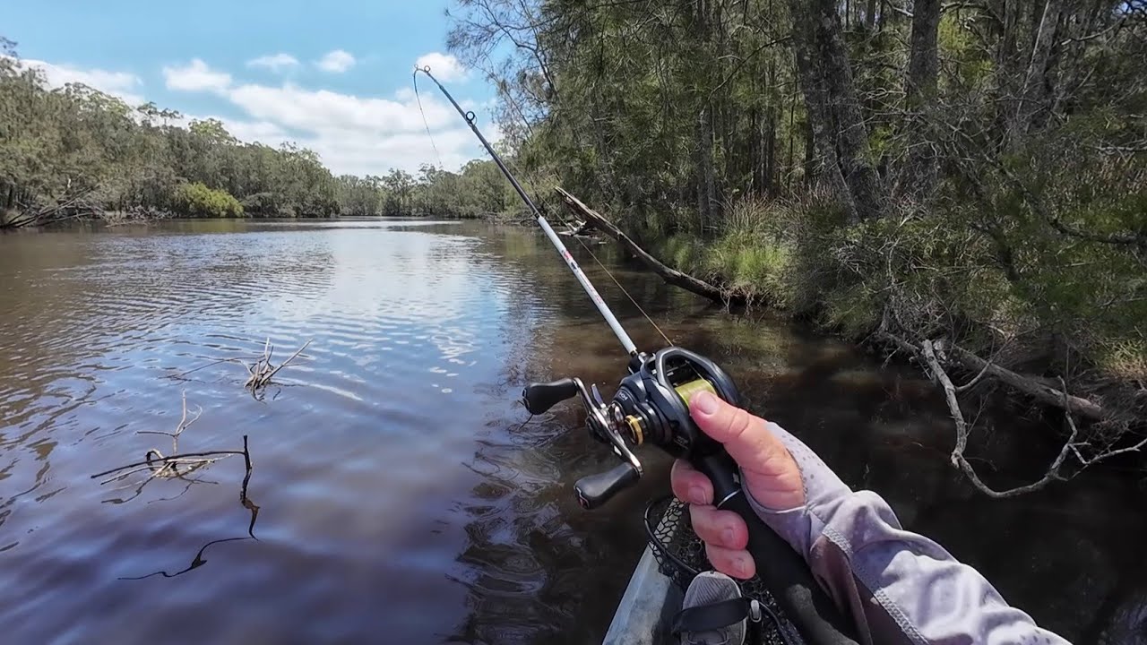 BFS Top-Water Bream Dora Creek