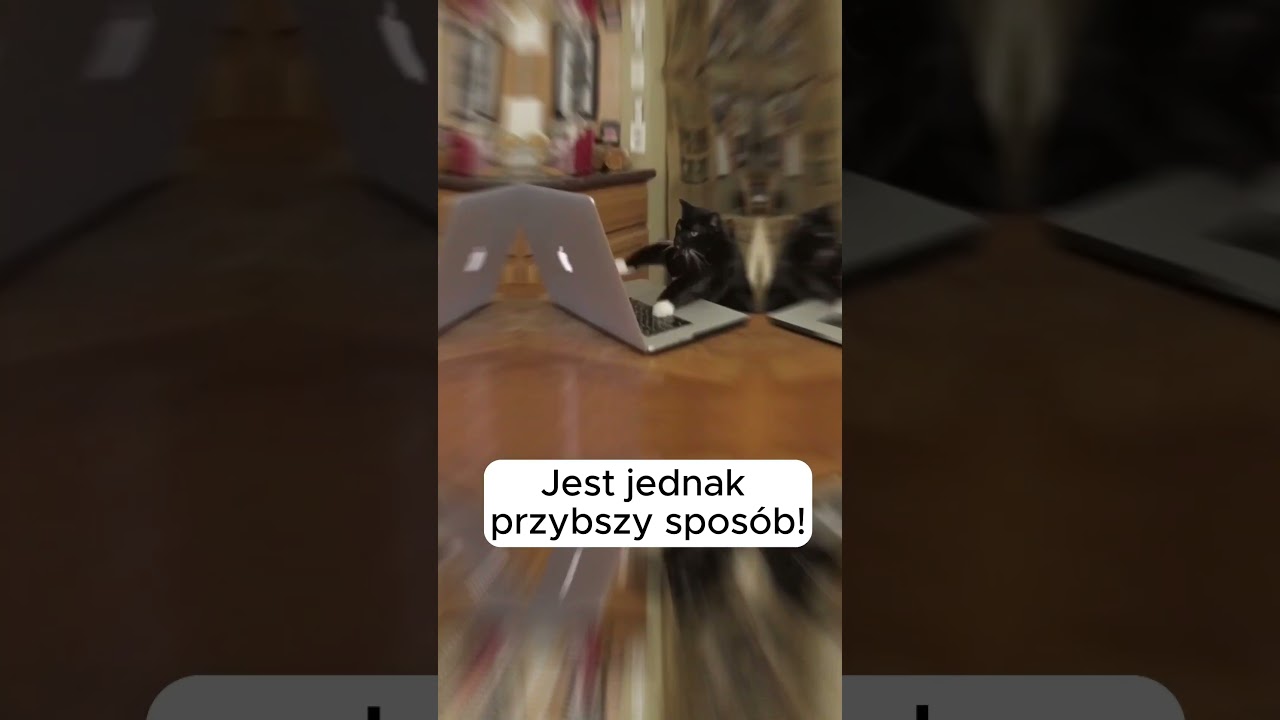 Canva - Jednominutowe Poradniki, Szybkie tworzenie kształt&oacute;w #canvashorts #canvatricks #canvatips