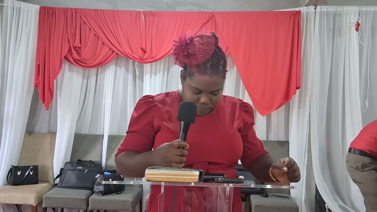 Senyè mwen vinn adore ou avèk tout sa ki pa bon mwen// sr Dianise Vedrine//❤️‍🔥❤️‍🔥❤️‍🔥