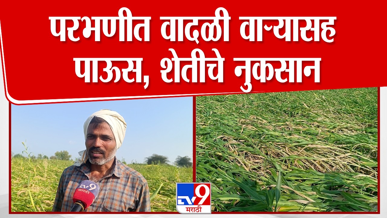 Parbhani | परभणीत वादळी वाऱ्यासह पाऊस, शेतीचे नुकसान