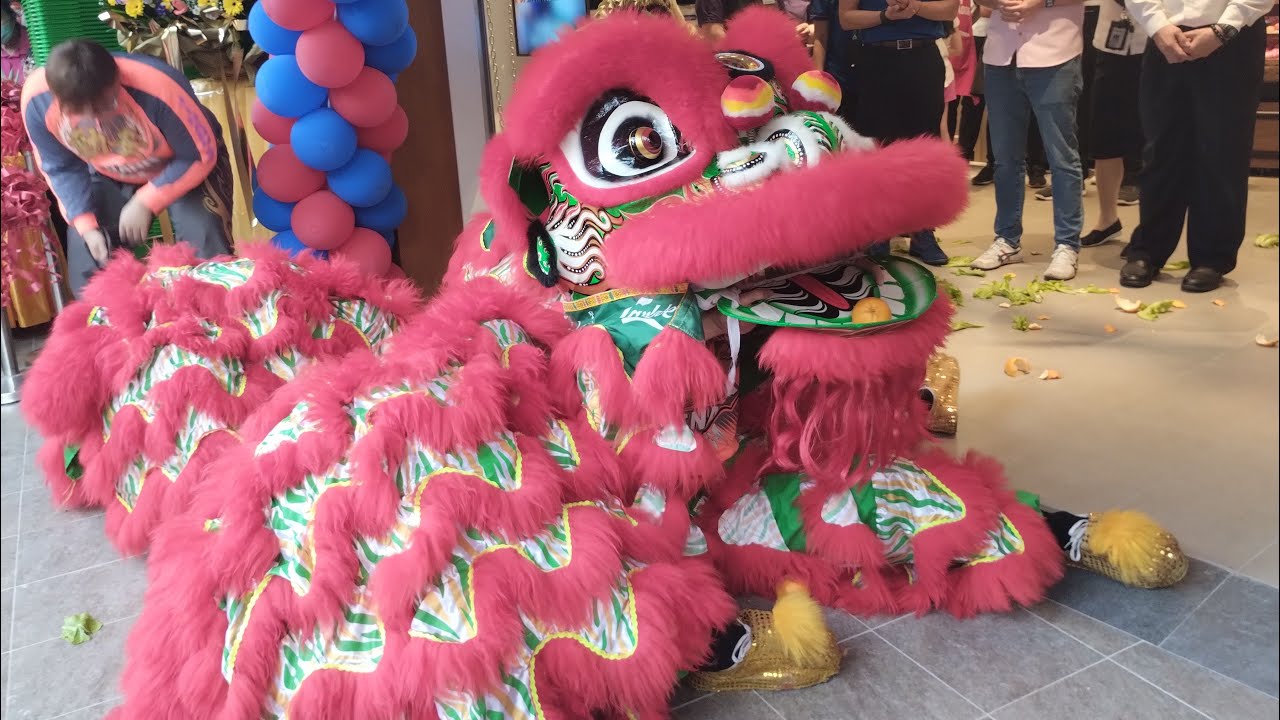 Lion Dance -Shop inauguration-Traditional