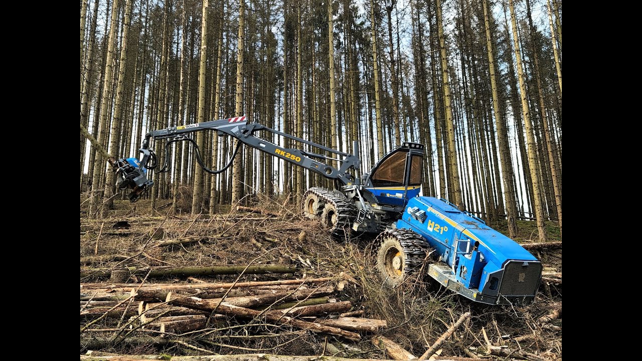 🌲The BIG one • *Rottne H21-D 6WD* • in small wood • Unternehmen HZ-GbR • biggest Harvesters • #1🌲