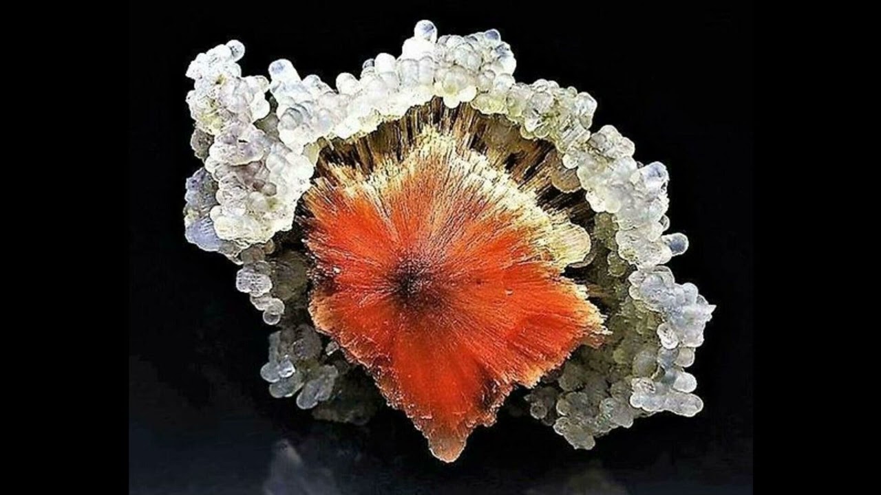 (free) yeat x kankan type beat 