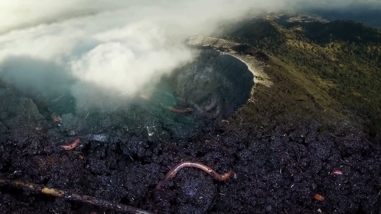 Technologia GlobeCore do produkcji nawoz&oacute;w humusowych