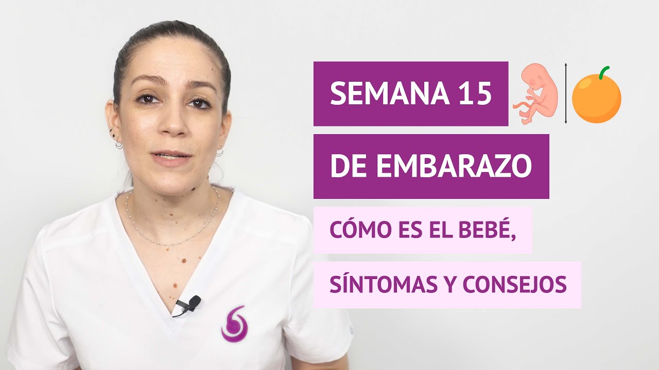 Semana 15 de embarazo: ¿qué ocurre en el bebé y en la madre?