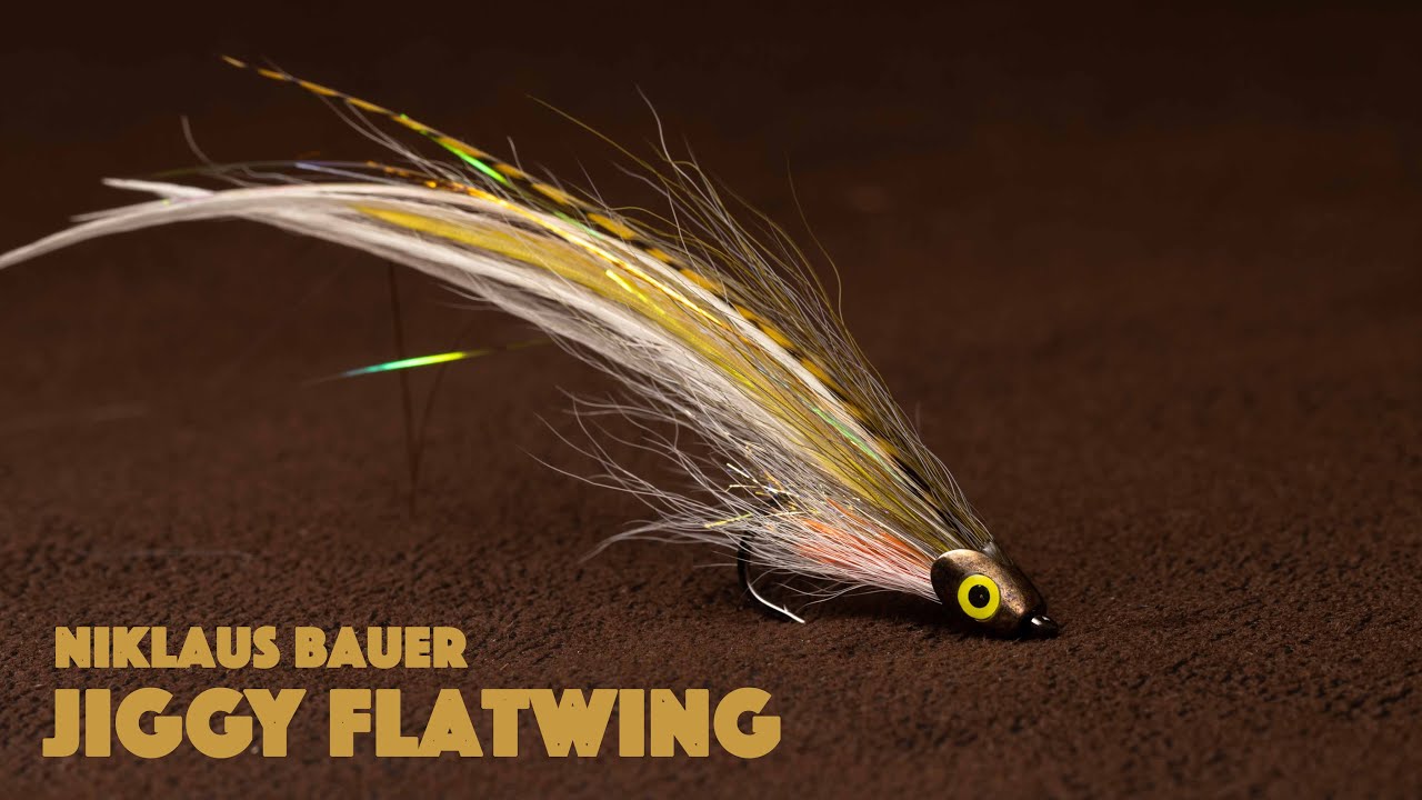 Jiggy Flatwing - Niklaus Bauer