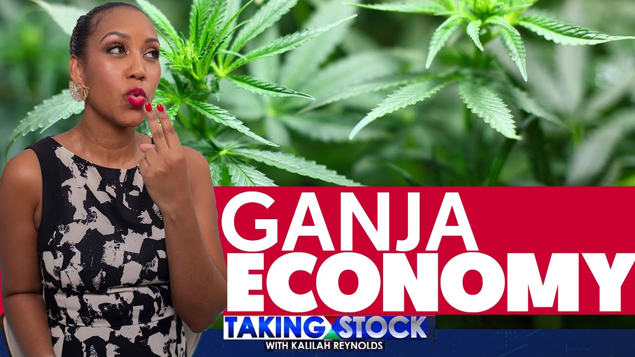 TAKING STOCK - CANNABIS AND JAMAICA&rsquo;S ECONOMY