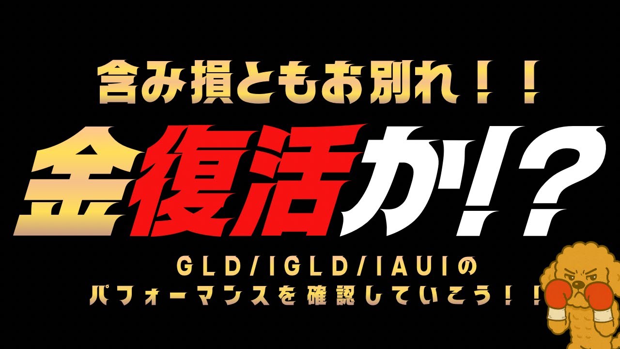 【金・ゴールド復活】大暴落からV字回復！GLD・IGLD・IAUI比較と含み損でも買い増す理由 #金 #ゴールド #gld #igld #iaui #金利 
