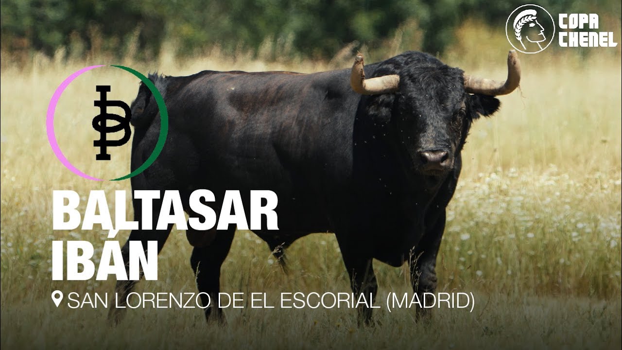 BALTASAR IB&Aacute;N: reportaje, 