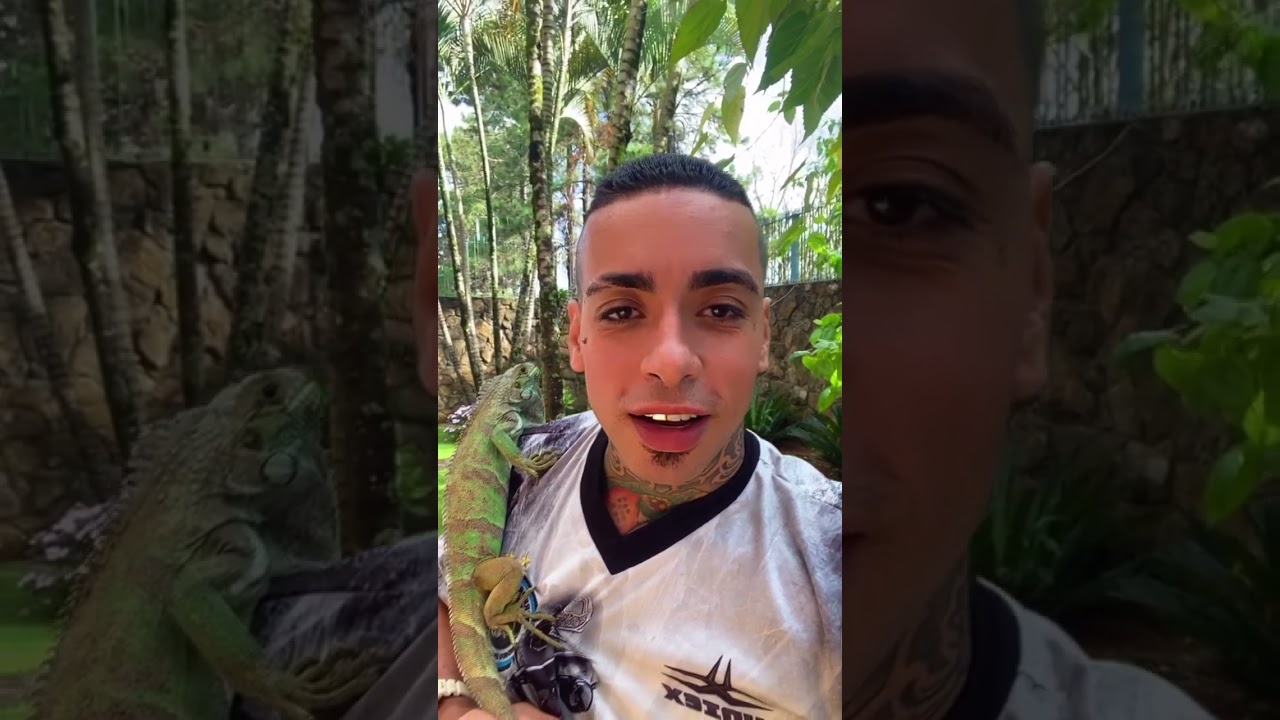 MC KAUAN MOSTRA OS ANIMAIS DELE DEPOIS DE UM BOM TEMPO