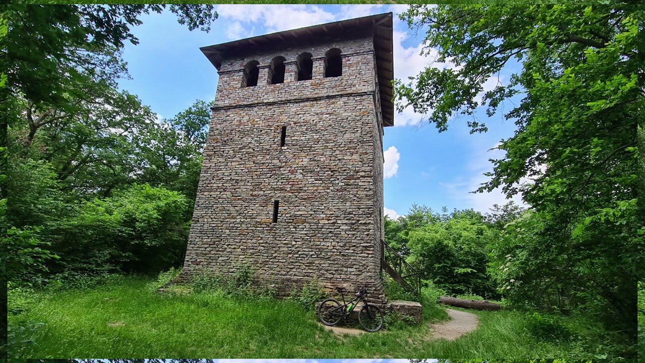 Winterstein Teil 3: Bembelshot Trail und der Limesturm auf dem Gaulskopf