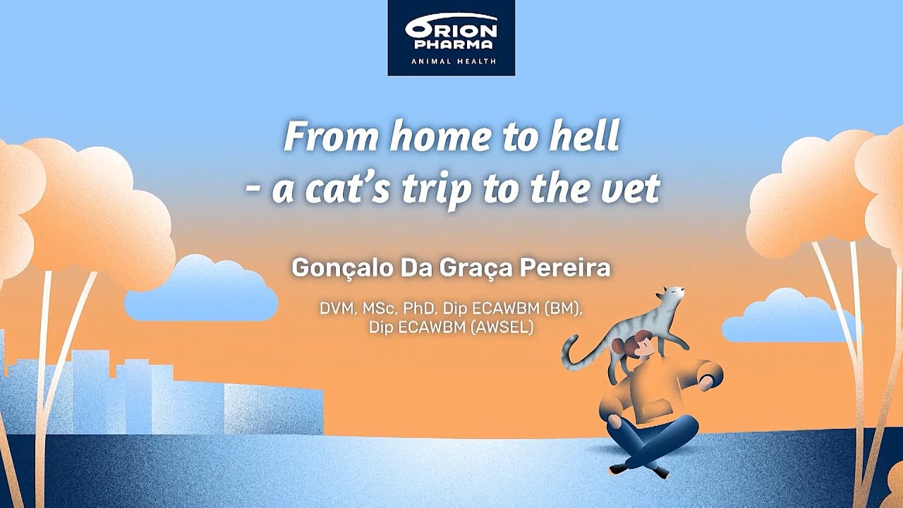 From home to hell - a cats trip to the vet
