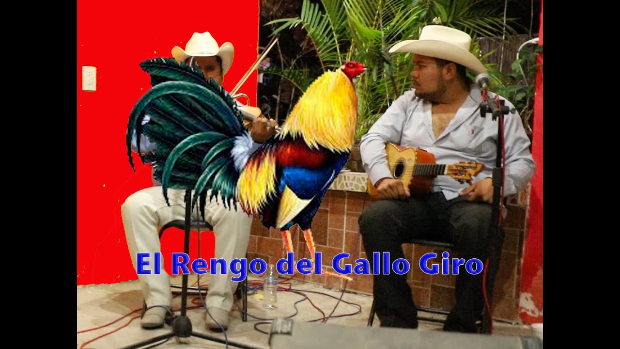 EL RENGO DEL GALLO GIRO CON MIGUEL Y SU DINASTIA HUAPANGUERA