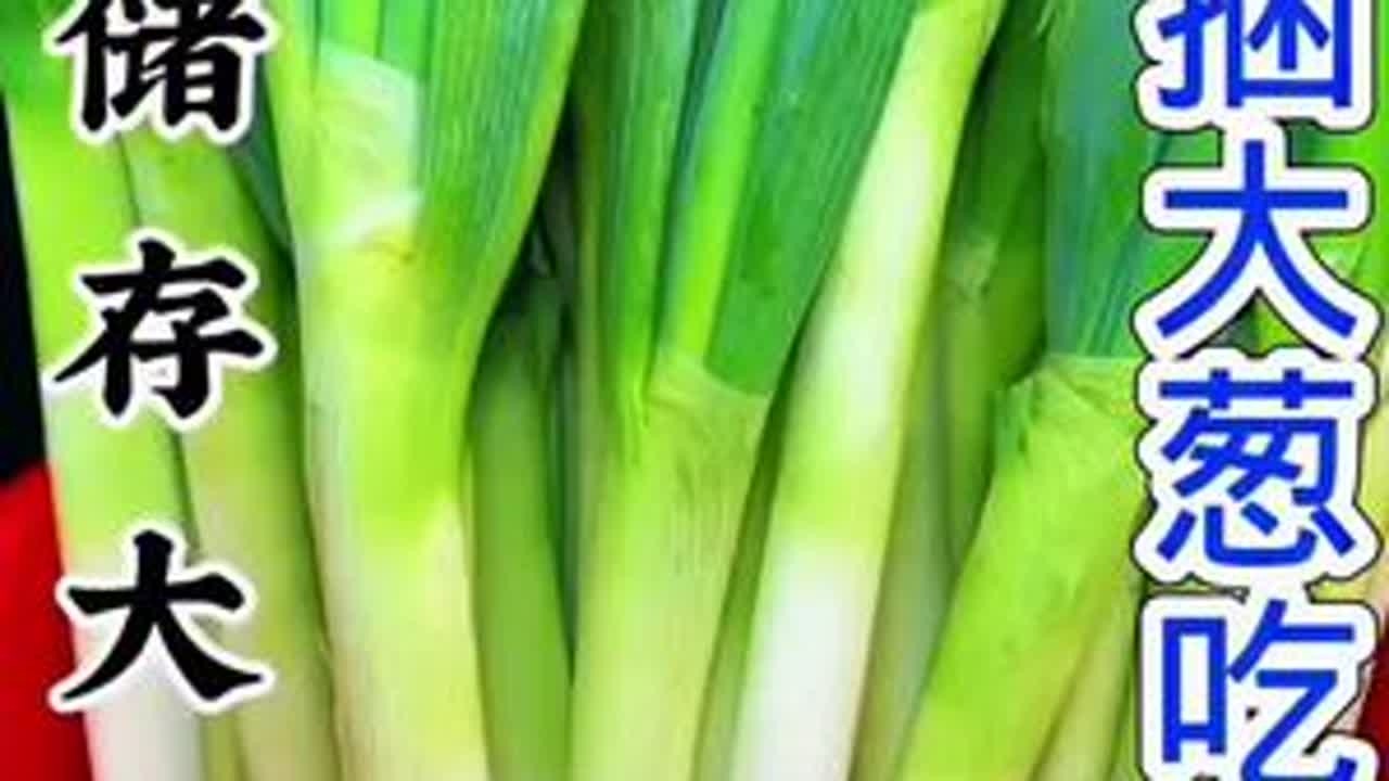 大葱储存根不烂白不空小妙招