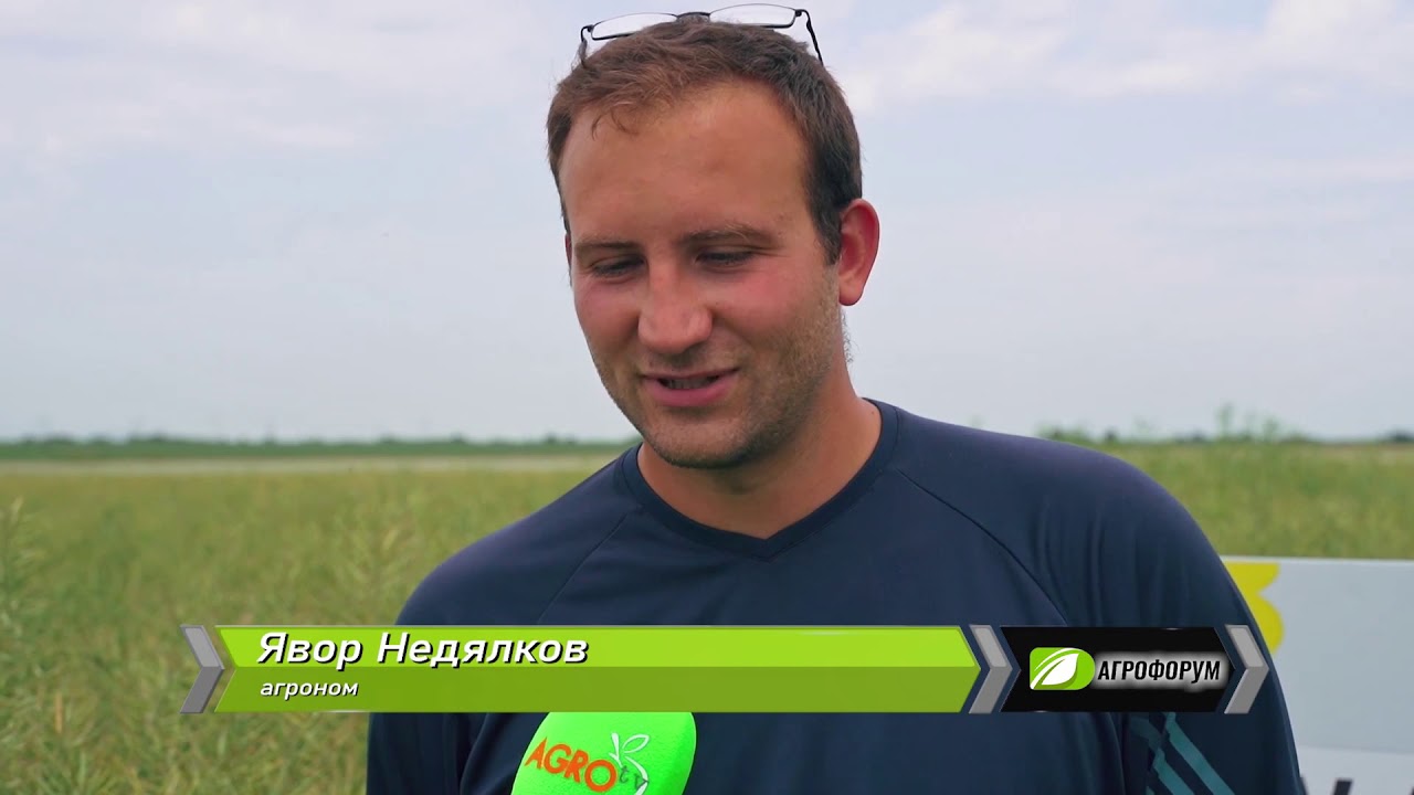 Агрофорум: Цялостна технология за отглеждане на пшеница-добрите земеделски практики