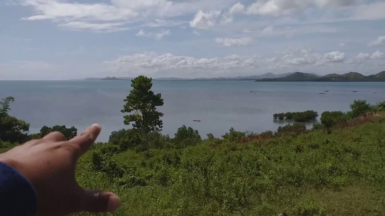 BeachFront Property For Sale |Overlooking Lot For Sale | Bohol Philippines |13,000sq.m.