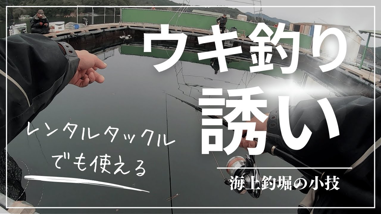 レンタル竿でも使える！海上釣堀ウキ釣り誘いの小技集