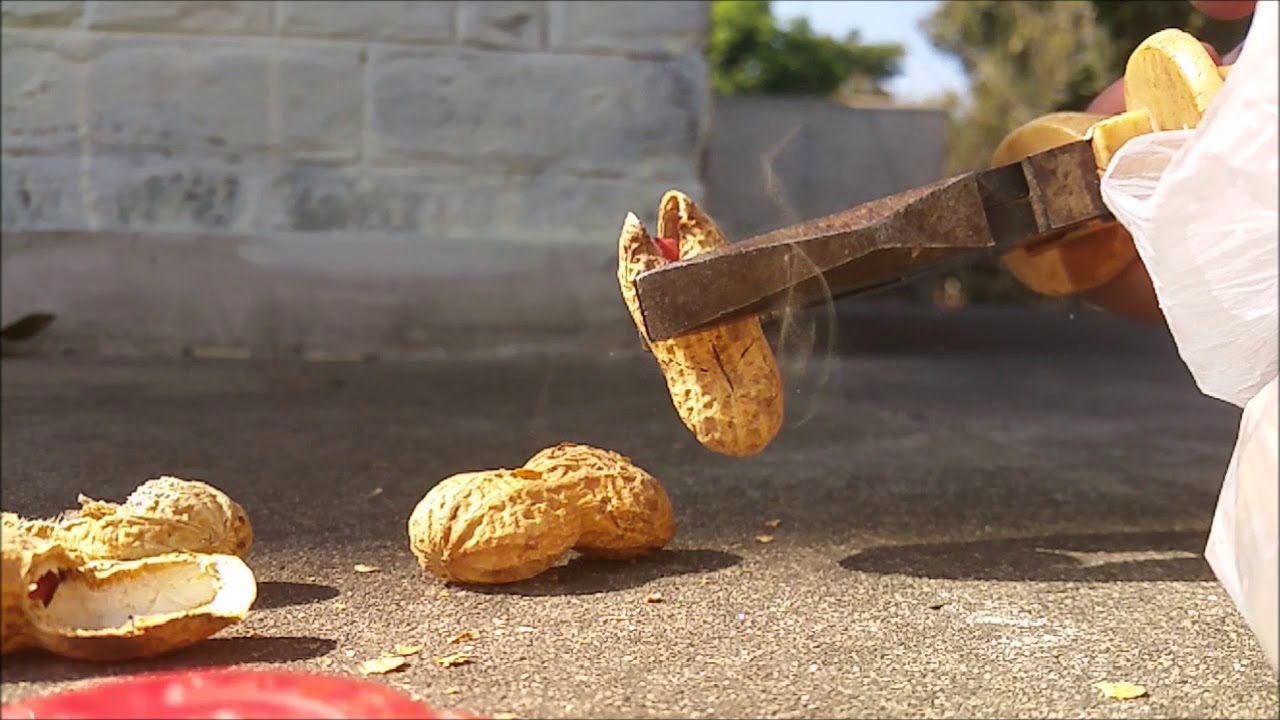 Peanut cracking in slomotion
