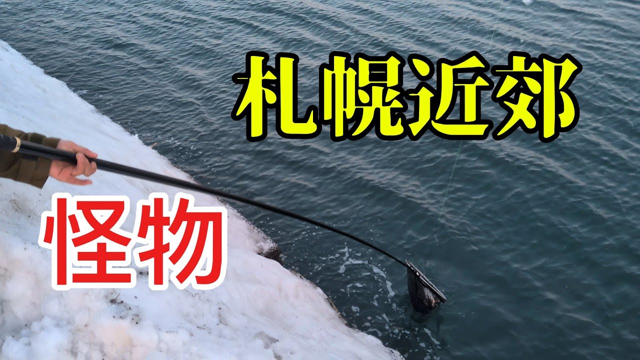 【北海道】【釣り】第2回戦小樽でまさかの怪物級の大物🤣www