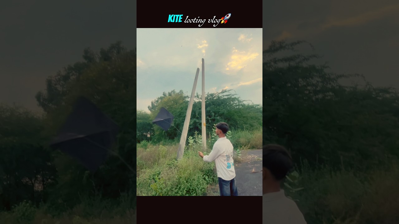 Kite looting😱🪁 #kiteground #kiteflying #kitelooting