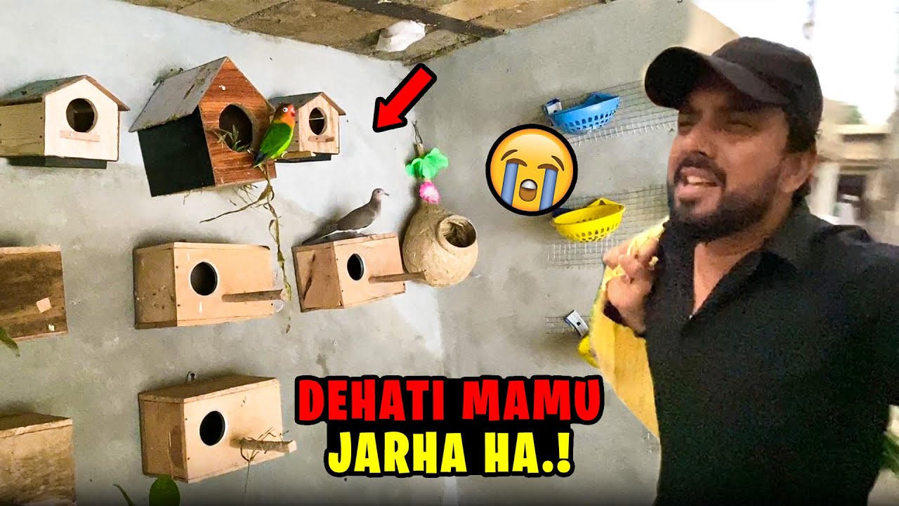 Dehati Mamu Mini Zoo Se Pets Chhor Kar Ja Rahe Hain 😢