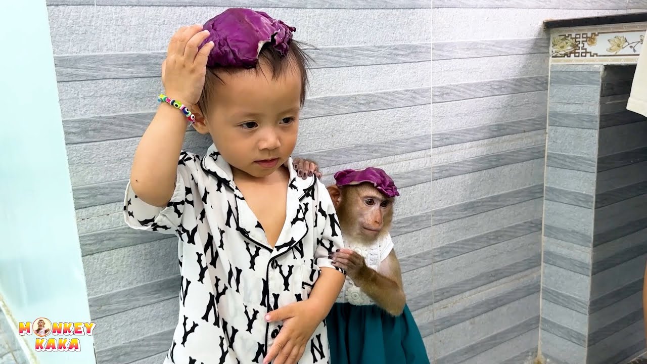 Monkey Kaka and Diem: two mischievous and adorable kids