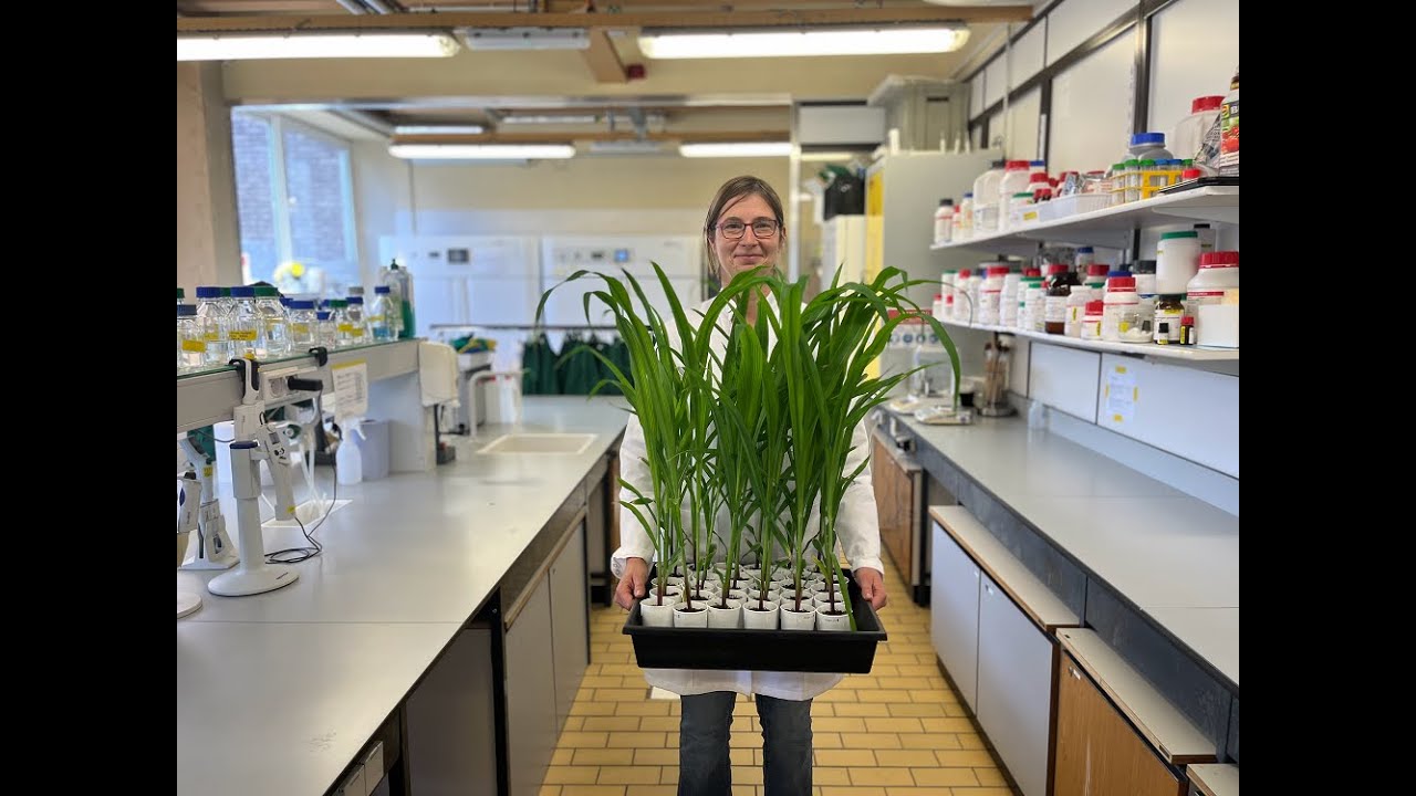 Biostimulants: for resilient plants!