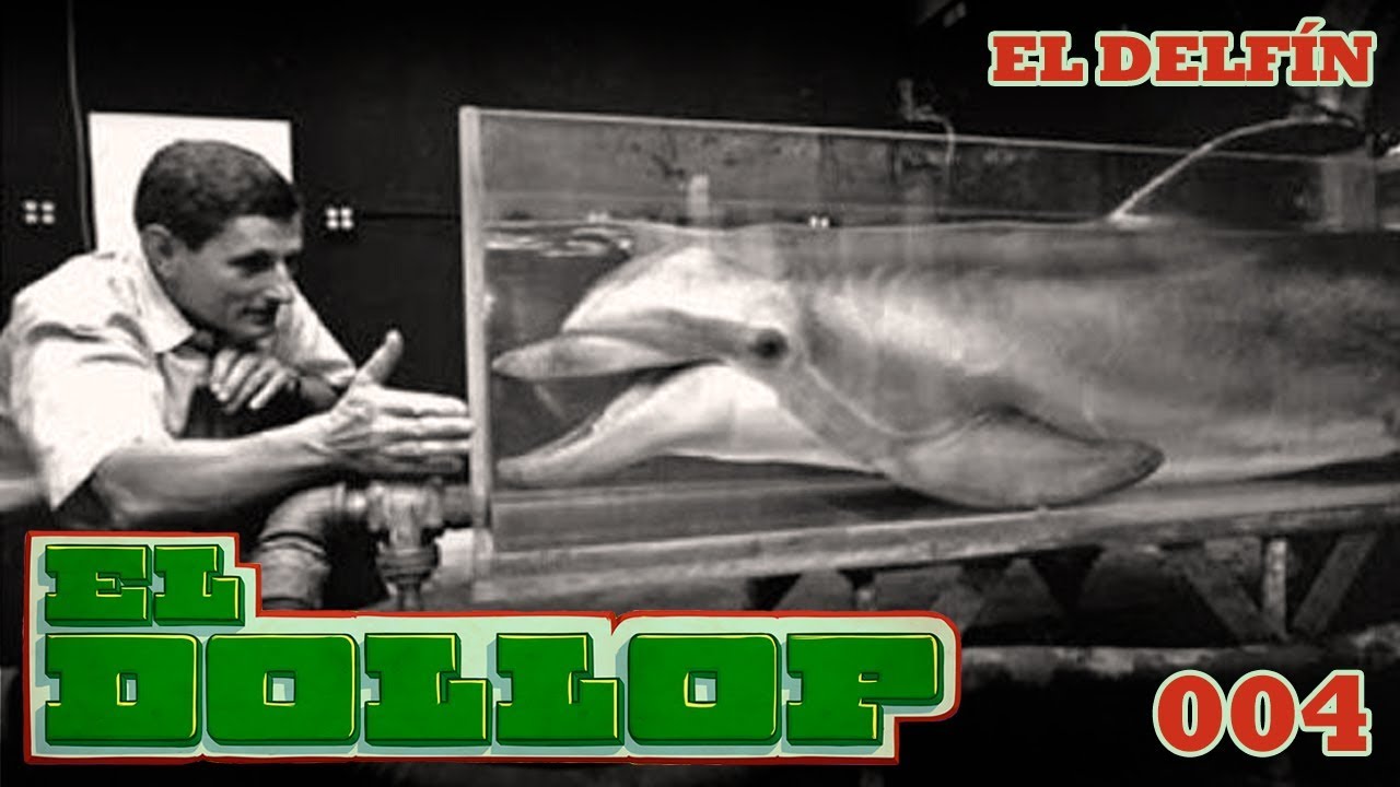 E4: El Delf&iacute;n