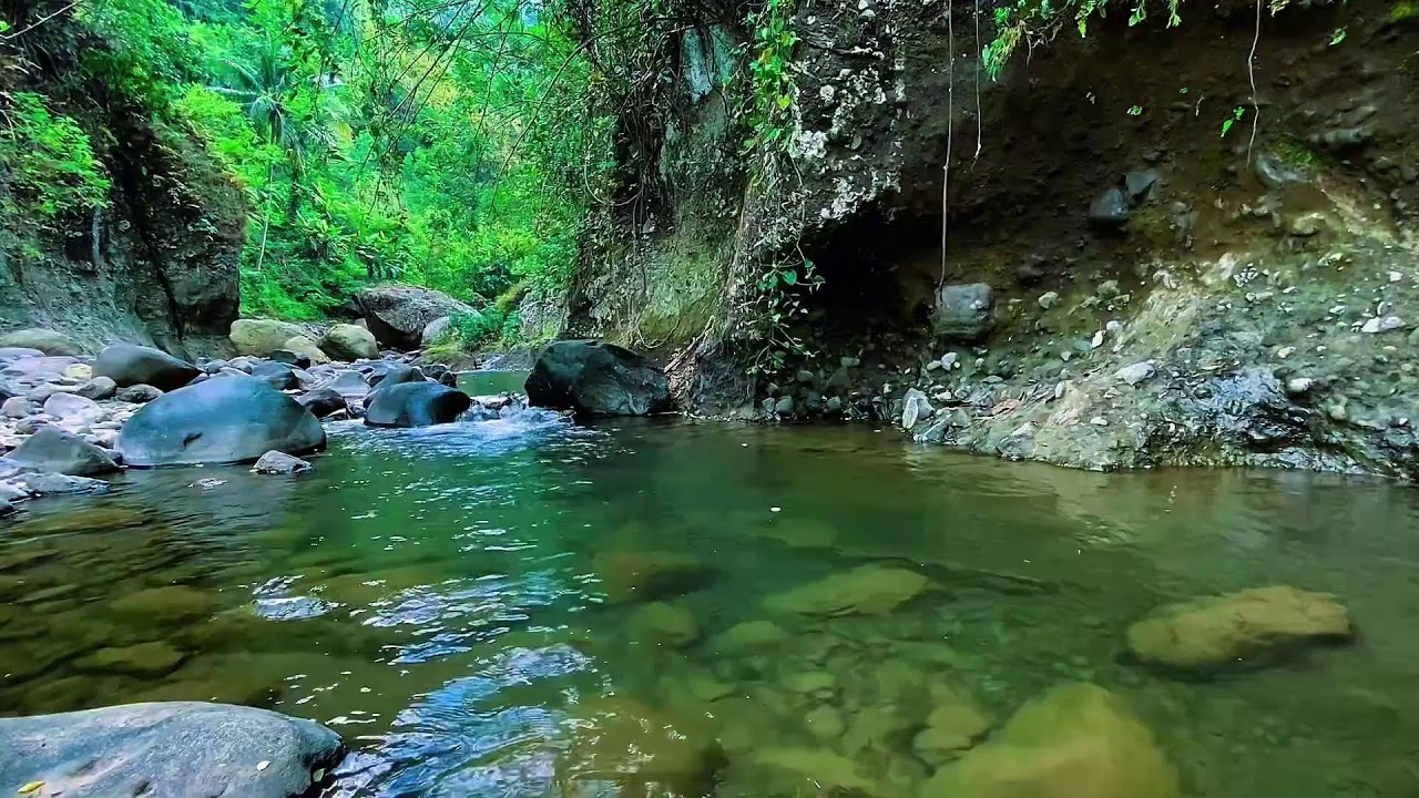 Forest River Flowing Ambience, Mountain Stream Water, Sleep