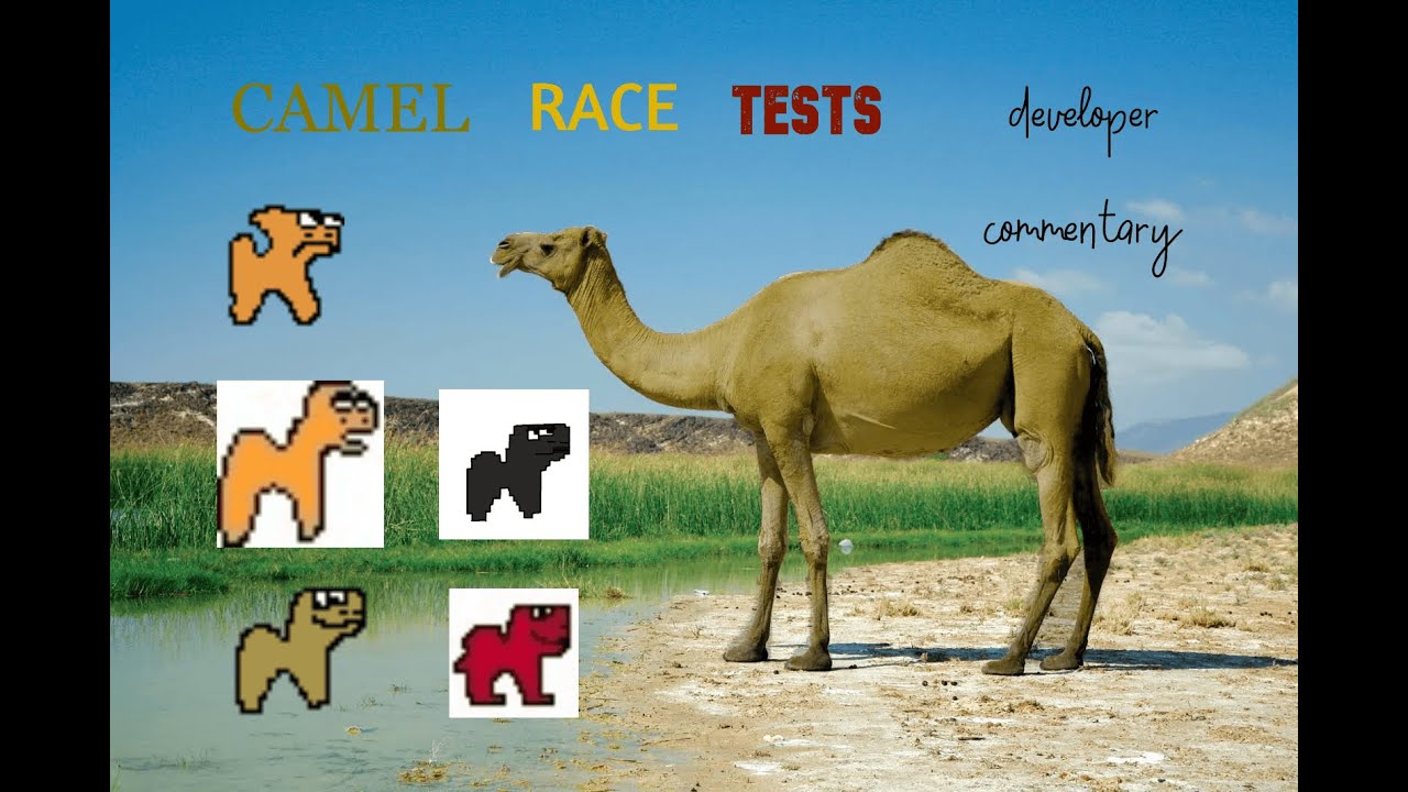 Camel Race Tests: Developer Commentary