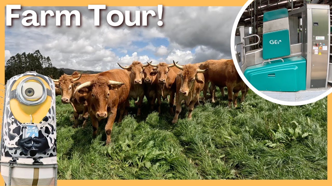 Boerderijen kijken in SPANJE! - Hoe doen zij het? - FARM Tour Vlog