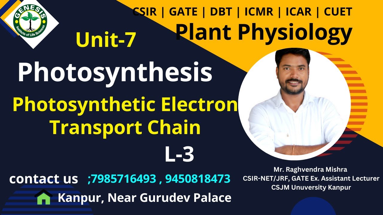Photosynthetic Electron Transport Chain | Photosynthesis | Plant Physiology#genesis_institute