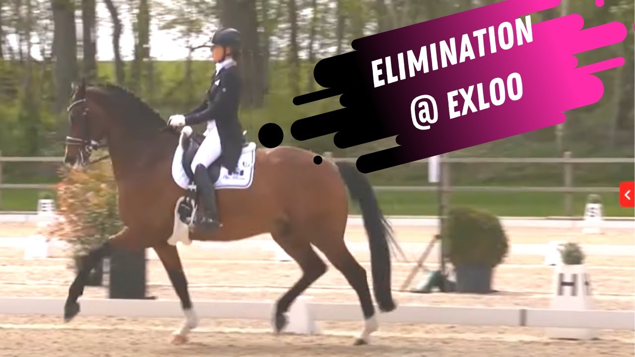 ELIMINATED: Marlies van Baalen & Ben Johnson In Grand Prix Dressage Freestyle