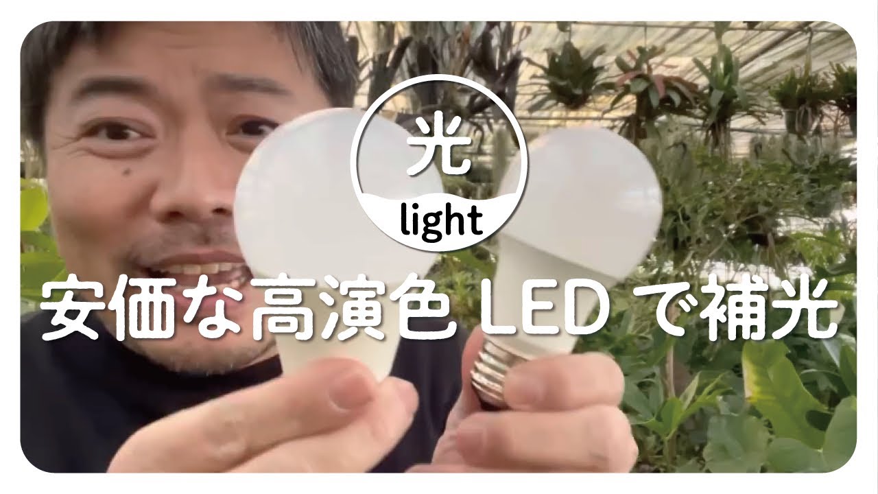 植物育成ライト⁉️補う光について解説