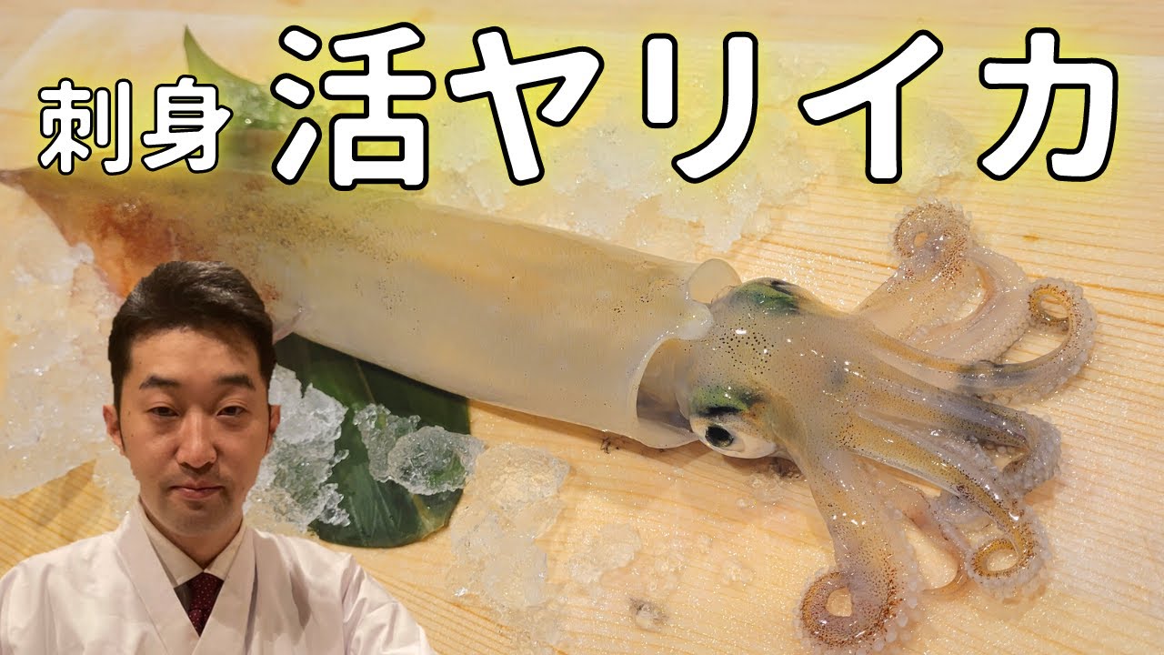 【イカ刺身】活イカを美味しく捌く寿司職人のやり方・イカの姿造り