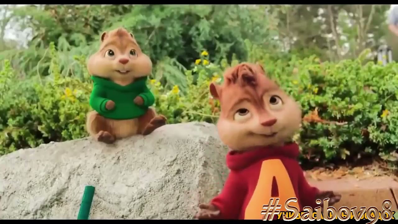 Бурундуки  Добрый Я 
