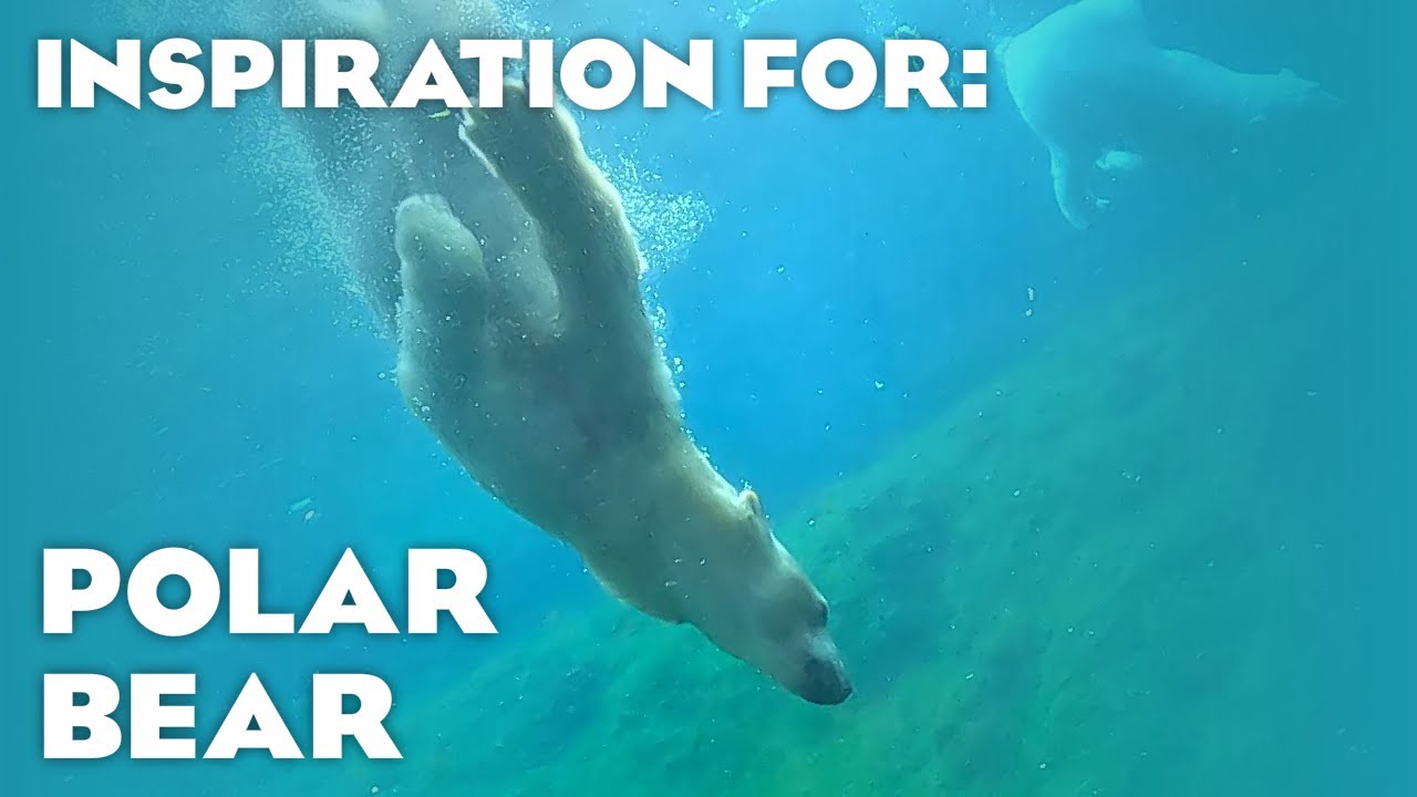 8 Real Polar Bear Habitats! (Planet Zoo Inspiration)