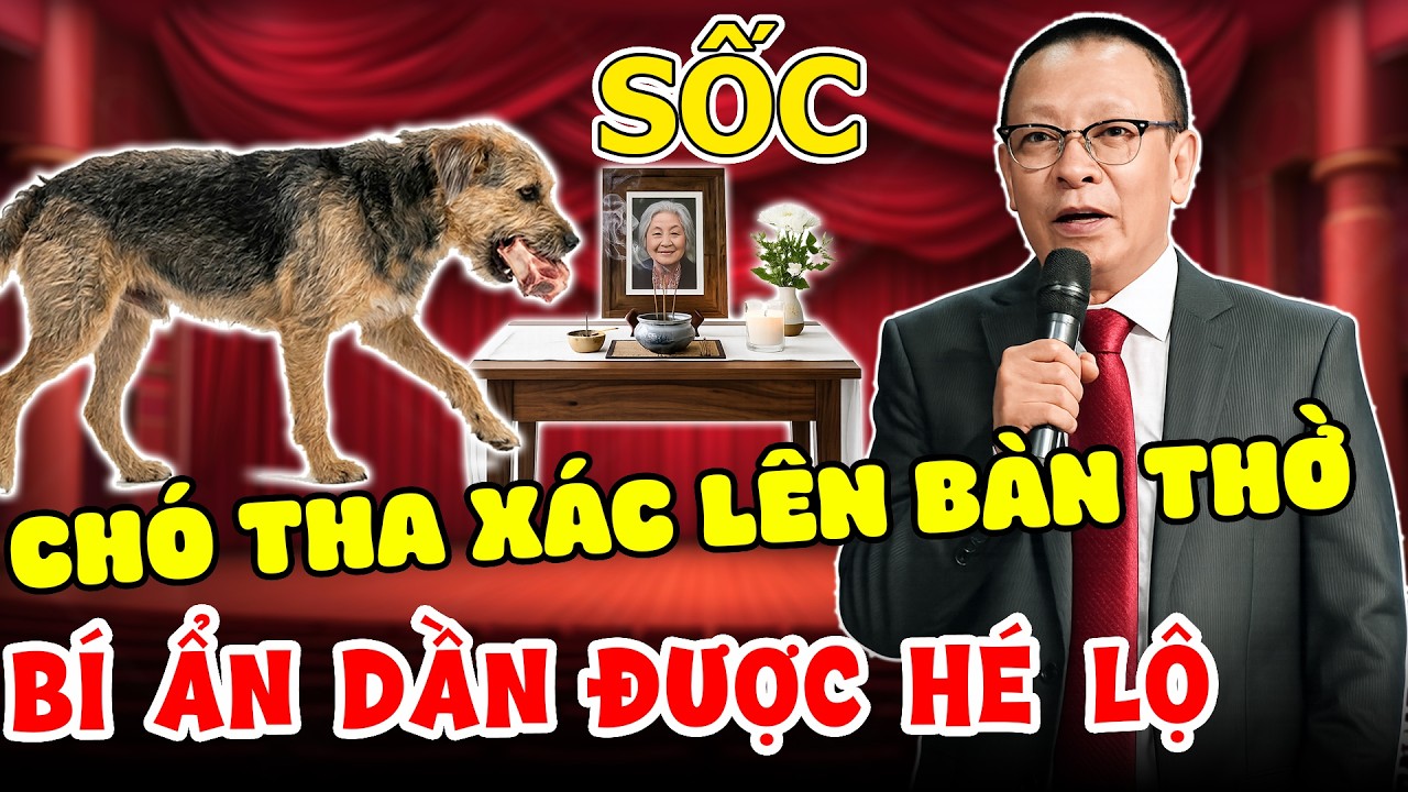 Bầu bạn cùng Văn Sâm: CỰC SỐC KHI CHÓ THA RĂNG NGƯỜI LÊN BÀN THỜ TỔ, SỰ THẬT DẦN ĐƯỢC HÉ LỘ.