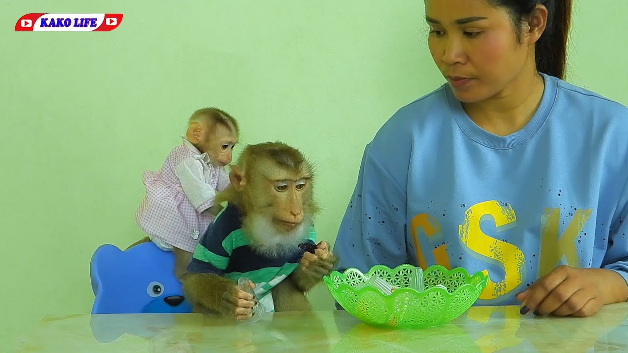 Smart Little Kako And Little Lisa Eating Fruit Jelly