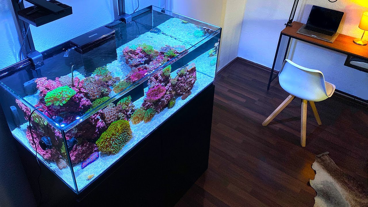 GERMAN REEF TANKS - My 