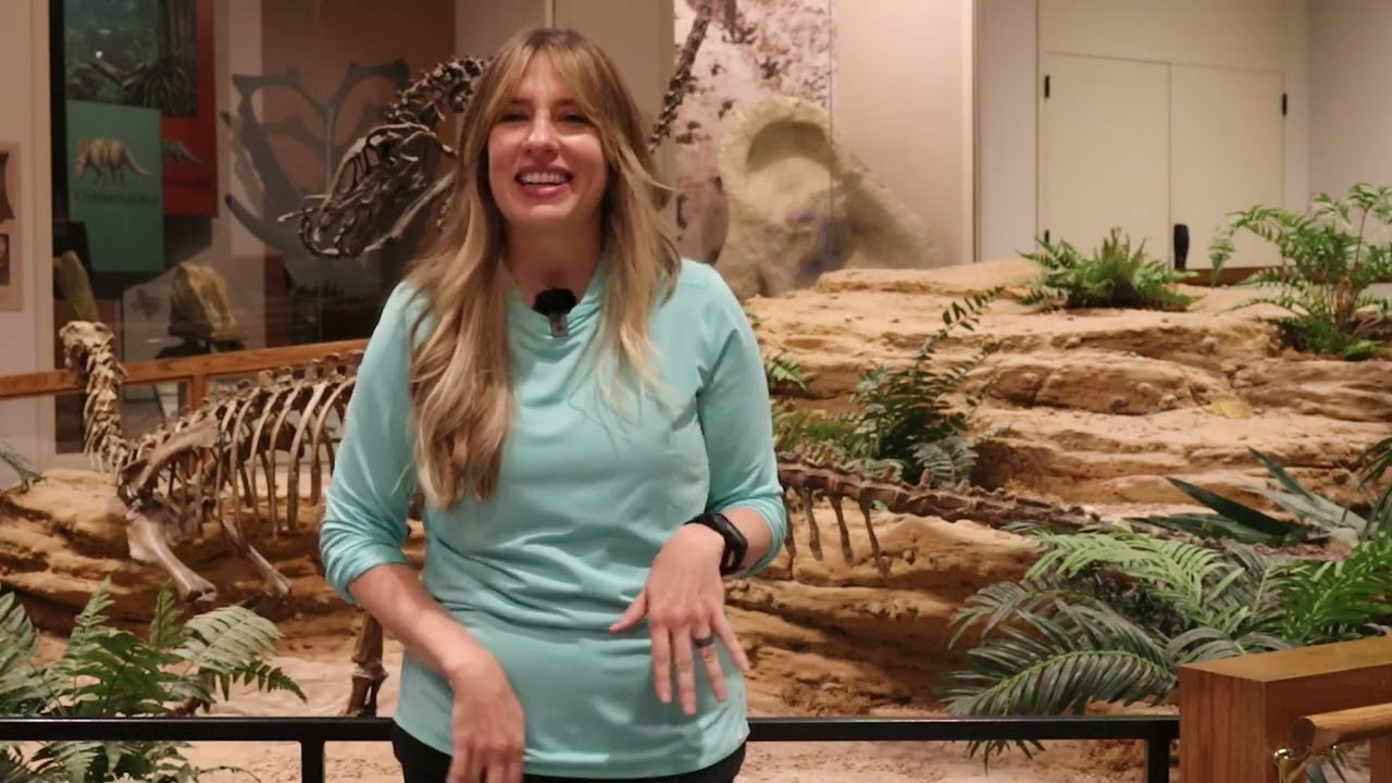 STEM Stories with Kendra Dean-Wallace - From Curiosity to Curator