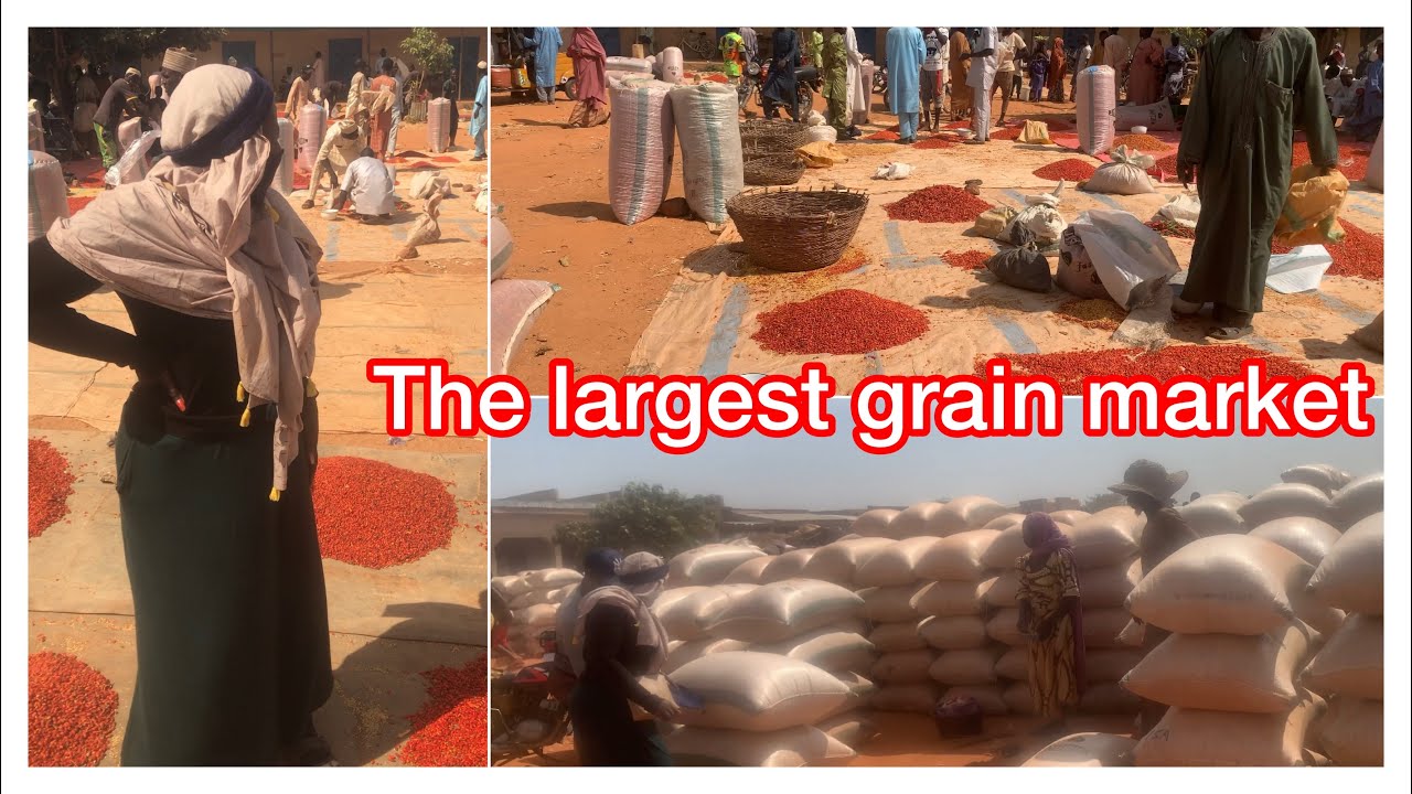 AGRIC STORAGE BUSINESS IN NIGERIA || BIGGEST GRAIN MARKET || NANDUME MARKET || grain business