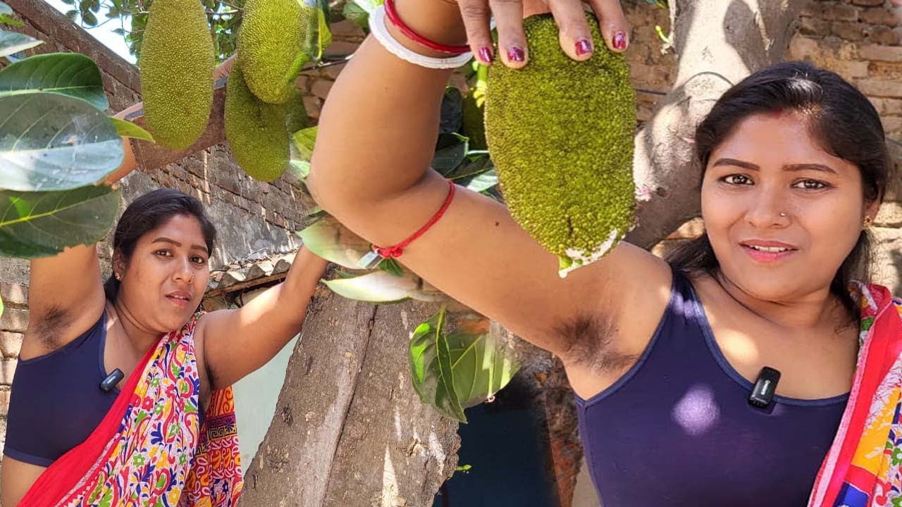 বাড়ির গাছের কচি এঁচোড় দিয়ে এঁচোড় ডালনা রেসিপি করলাম ।