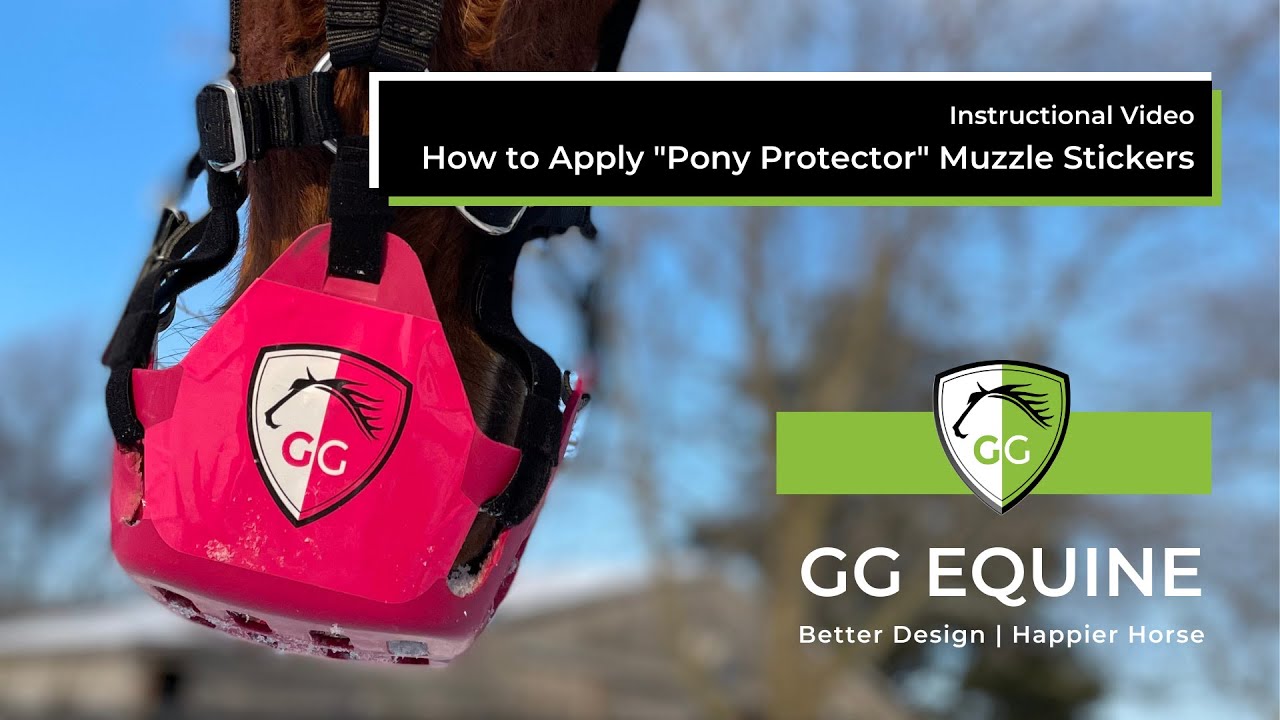 How to Apply GG Equine "Pony Protector" Grazing Muzzle Stickers