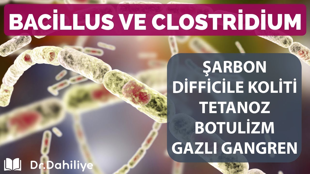 Bacillus ve Clostridium (Şarbon, difficile koliti, tetanoz, botulizm, gazlı gangren)